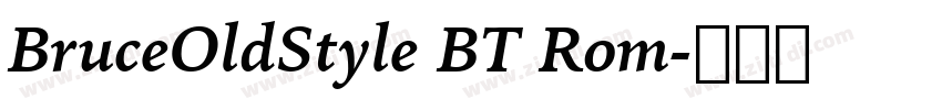 BruceOldStyle BT Rom字体转换